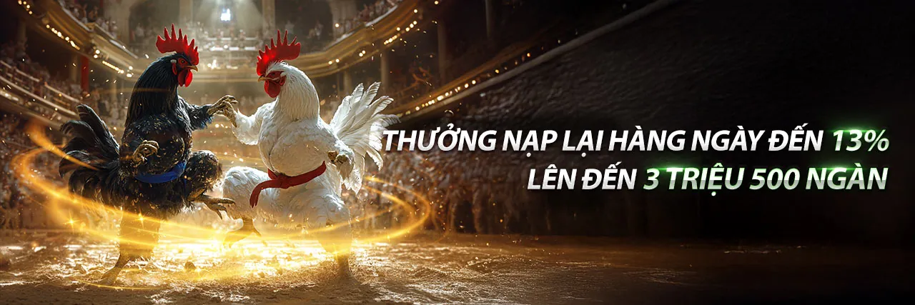 Đá gà kịch tính tại 188bey Thể Thao